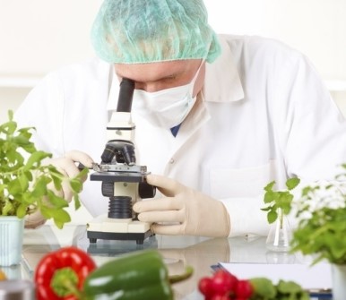 Tecnico di laboratorio che utilizza un microscopio.