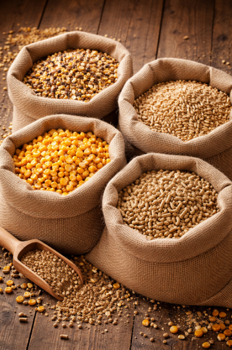 Mangimi per animali e sicurezza alimentare